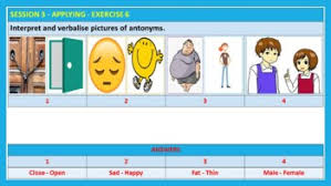 Synonyms And Antonyms Lesson Plan And Resources By John Dsouza Tpt ( interprets 3rd person present) ( interpreting present participle) ( interpreted past tense & past participle ). synonyms and antonyms lesson plan and resources