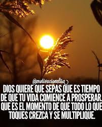 La Biblia Catolica La Biblia Frases Espirituales Frases Sabias Frases Religiosas