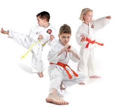 Pin On Martial Arts