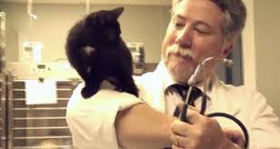 Meet a Scientologist—Canadian Pet Vet Donald Bissonnette