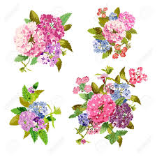 Jump to navigation jump to search. Elegant Bouquets With Flowers Design Elements Floral Compositions Royalty Free Cliparts Vectors And Stock Illustration Image 73033265