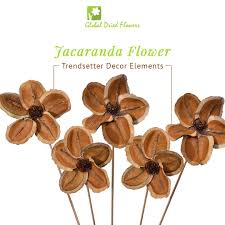 We did not find results for: Global Dried Flowers Globaldried Twitter