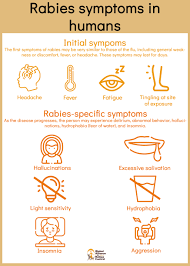Human cases of the virus are extremely rare in the united states, but if it's not treated before symptoms appear, it's deadly. Signs And Symptoms Of Rabies Global Alliance For Rabies Control