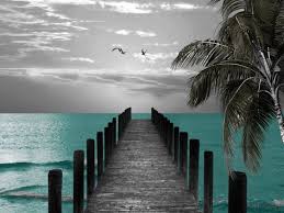 Black And White Beach Photos For Sale Black White Blue Beach Pier Palm Coastal Seagulls Bathroom Etsy Black And White Beach Black And White Decor Palm Tree Pictures