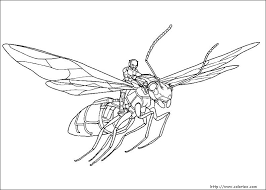 They eat both plants and animals to meet their nutritional needs. Ant Man Superheroes Printable Coloring Pages