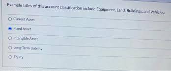 For example, the academy of management or the american accounting. Example Titles Of This Account Classification Include Chegg Com