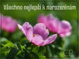 „alles liebe und gute zum geburtstag. Coolphotos De Grusskarten Tschechisch
