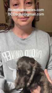 Audrie Marie Schneider Update