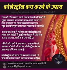 क ल स ट र ल कम करन क 13 घर ल उप य Cholesterol Kam Kaise Kare Cholesterol Health Tips Health