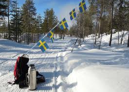 Simply email the vasaloppet office at information@vasaloppet.us with your request and we will happliy make the switch for you. Vasaloppet Swedish Made Easy
