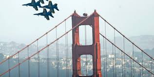 Image result for Tan 2022 Fleet