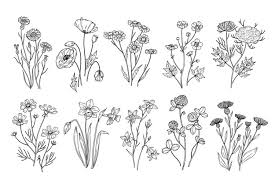 We did not find results for: Wild Flowers Sketch Wildflowers And Herbs Nature Botanical 1027574 Illustrations Design Bundles