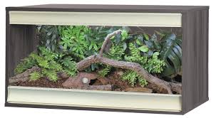 Best Vivarium: Best Wooden Vivarium for Reptiles | Evolution Reptiles