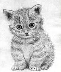 Vandaag voor 21:00 besteld, morgen in huis > 39 Ideeen Over Poesjes Tekenen Dieren Tekenen Katten Tekening Tekenen
