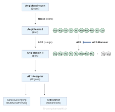 Pharmawiki Ace Hemmer