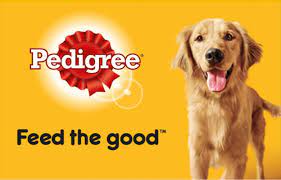 Pedigree Dog Food Reviews (2021) - Is Pedigree Good For Dogs? |  Toprateddogfoods.com