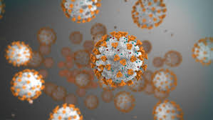 2019 novel coronavirus, wuhan seafood market pneumonia virus) — оболочечный одноцепочный. Sars Cov 2 Igg Assay