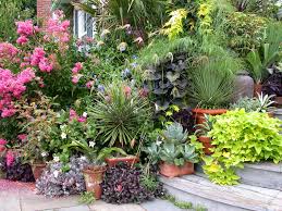 Unusual Plant Containers Is A Logical And Ideal Place To Display Container Plantings The Potted Plants Outdoor Garden Plant Pots Container Plants