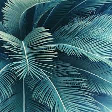 Update your home with a rug that combines functional design with a minimalist aesthetic. Turquoise Pastel Teal Aesthetic Wallpaper Novocom Top