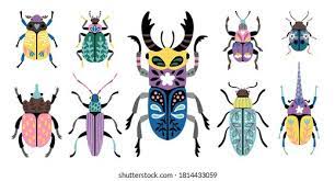 coleoptere images photos et vectorielles de stock shutterstock coloriage visage vache