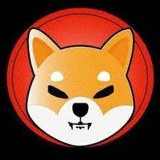 Shibainu Twitter Search Twitter