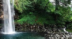 Kebun binatang ini memiliki keunggulan tersendiri dibanding dengan kebun binatang lainnya yang ada di indonesia. 12 Tempat Wisata Terfavorit Di Bukittinggi Sumatera Barat Dan Sekitarnya Jurnal Jambi