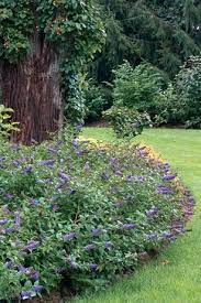 Pin On Gardens
