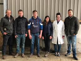 Look: Eryri and Meirionnydd stock judging 2019