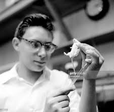 Ira Frank, a research scientist, prepares an injection of kerasin for...  News Photo