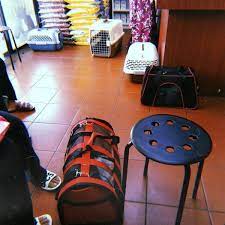 Kelana jaya veterinary clinic is ready to serve your pets. Kelana Jaya Veterinary Clinic Veterinarian