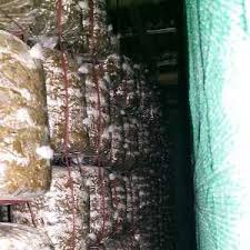 Mushroom cultivation is an intricate, but rewarding art. Mushroom Farming In India Guide To Mushroom Cultivation