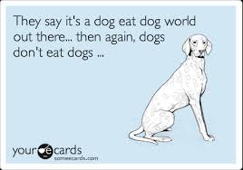 They Say It S A Dog Eat Dog World Out There Then Again Dogs Don T Eat Dogs Congratulations Ecard