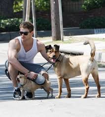 Kellan Lutz Runs With Kola With Images Celebrities Tv Show Music Beautiful Men