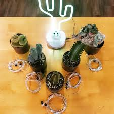 Show champion ep 230 a c e cactus. A C E Cactus Pt 1