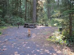 Koa.com has been visited by 10k+ users in the past month Whispering Falls Campground Detroit Ranger District Santiam Oregon