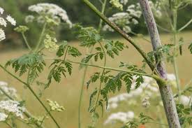 We did not find results for: It S Best To Know What You Re Dealing With Outside My Window