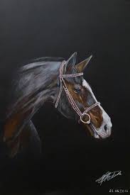 Black Paper Colored Pencil Drawing Horse Pencil Drawings Black Paper Drawing Black Paper