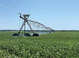 Early Soybean Production System