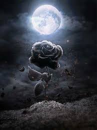 Pin By Byron Vargas On Lunas De Ensueno Moon Art Gothic Wallpaper Art