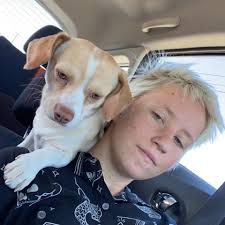 Are there low-cost spay/neuter programs or affordable vets in Olean, NY?