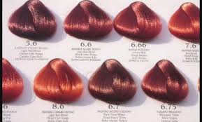 Wella Color Chart Reds Sbiroregon Org