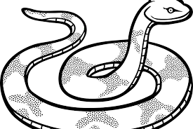 Gambar kartun ular paling hist. Hitam Putih Gambar Ular Kartun Keren