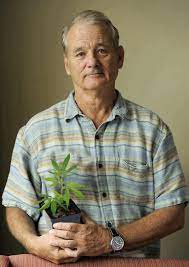 Bill Murray Know Your Meme
