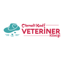 Cizmeli Kedi Veteriner Klinigi Sisli Telefon Adres Ve Yorumlar
