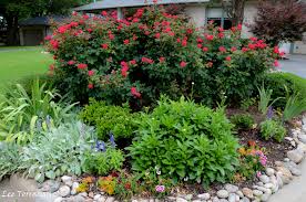 There are a number of flowers that bloom year round in texas due to the mild temperatures. Texas Perennial Garden Top Ten Summer Perennials Lee Ann Torrans Gardening