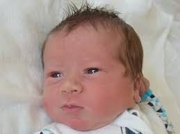 Fotogalerie: Právě jsme se narodili