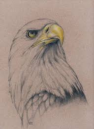 American Bald Eagle By Evey Studios Eagle Art Bald Eagle Art Eagle Drawing