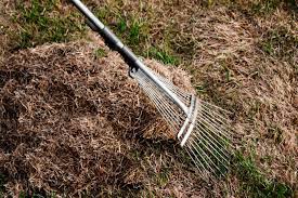 Even if you did collect all of the leaves in fall, you must do it again this season. 8 Spring Tasks To Foster A Great Lawn