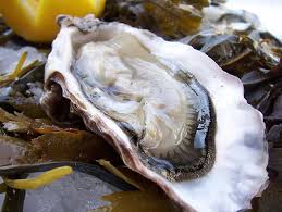 An Oyster Oyster Recipes Recipes Food