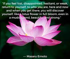 Discover and share lotus quotes. Beautiful Lotus Flower Quotes Enkiquotes